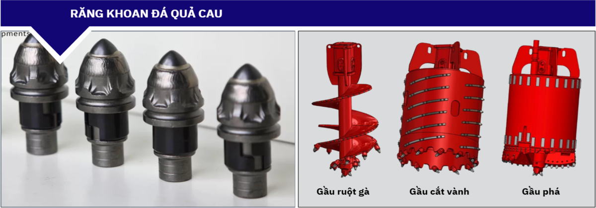 Răng khoan đá quả cau